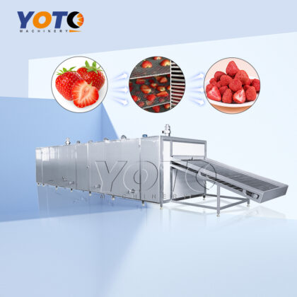 Strawberry Drying Oven