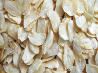 Garlic Mesh Belt Dryer - Vegetable Drying Machine - 2